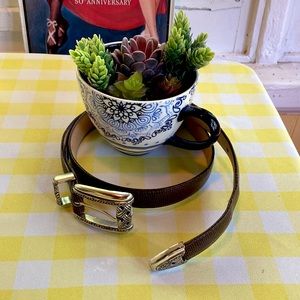 Brighton chocolate brown belt